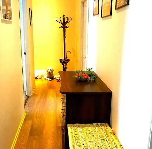 90 Sq.m. In Centre Of Apartman Vilnius